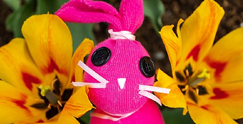 Sock Bunny Art Project