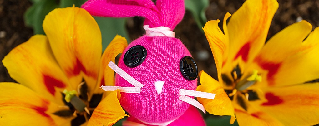 Sock Bunny Art Project