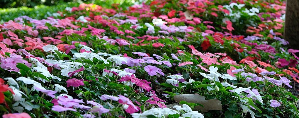 Five Little-Known Spots to Enjoy Summer at the Frick