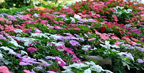 Five Little-Known Spots to Enjoy Summer at the Frick