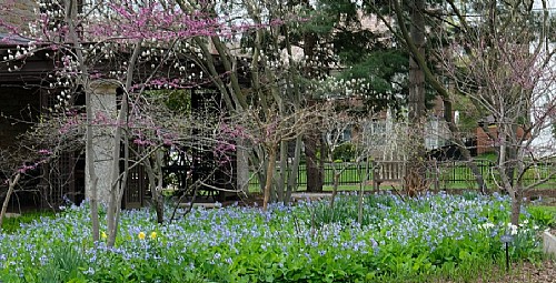 A Quick Spin Around the Gardens