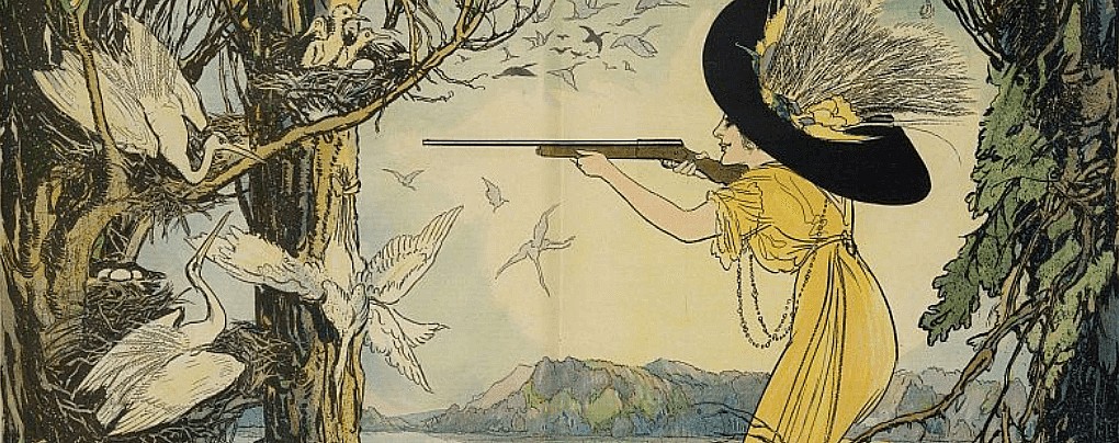 Crimes of Fashion: Gilded Age Millinery and the Plight of Birds