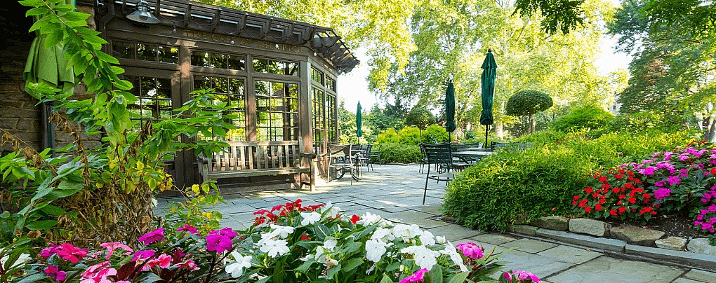 Caf&eacute; Revamp: Meet the Design Team