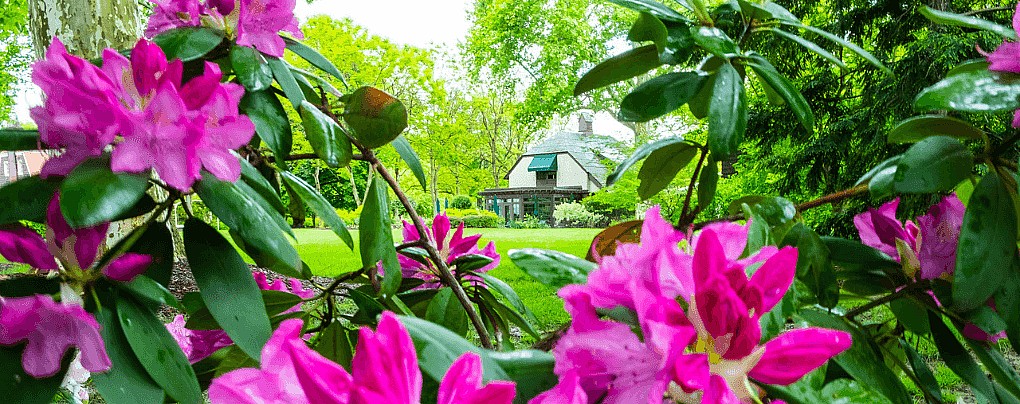 Caf&eacute; Update: Made in Pittsburgh