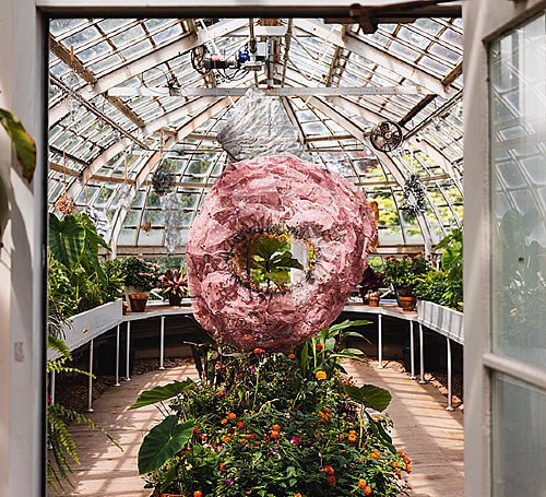 <em>Catching Sunbeams from the Porch Swing of Wisteria Castle</em>