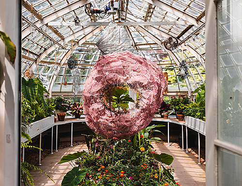 <em>Catching Sunbeams from the Porch Swing of Wisteria Castle</em>