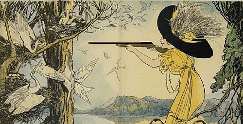Crimes of Fashion: Gilded Age Millinery and the Plight of Birds