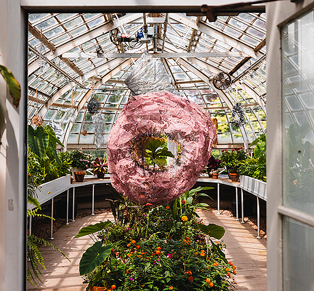 <em>Catching Sunbeams from the Porch Swing of Wisteria Castle</em>